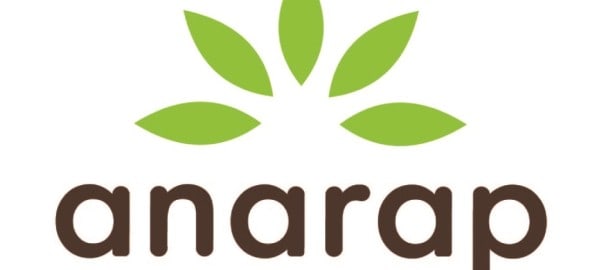 ARTE ANARAP CORREGIDO